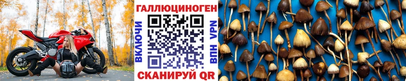 наркота  Белозерск  Галлюциногенные грибы ЛСД 
